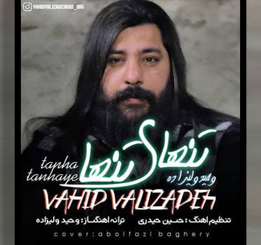 وحید ولی زاده تنهای تنها